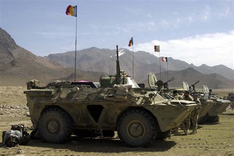 15 Spring Roll Nutrition Facts - Facts.net