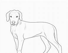 malvorlage hunde kostenlos unique malvorlage hunde ae photo de malvorlage hunde kostenlos unique malvorlage hunde ae photo de