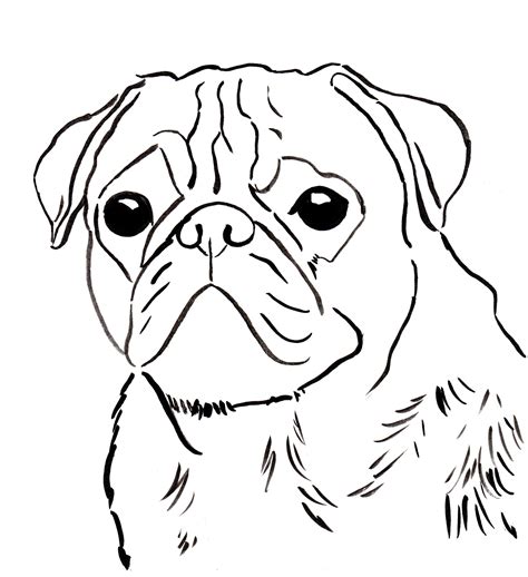 Printable Pug Coloring Pages