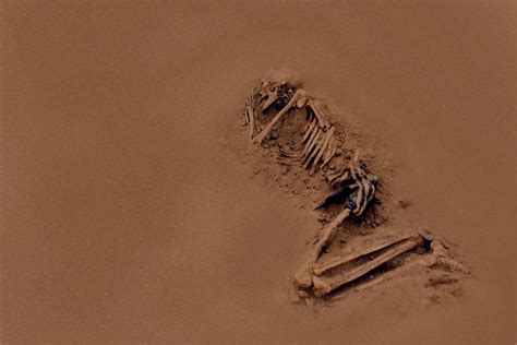 Crimes that must not be forgotten | Fountain Ink