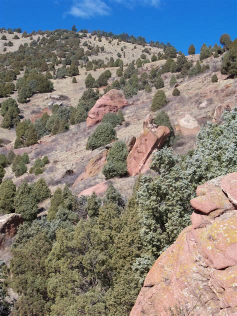 Trail and Park Reviews: Matthews Winters Park and Open Space - A sunny ...