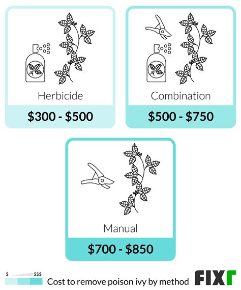 Poison Ivy Herbicide