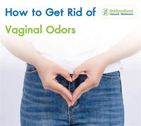 Healthy tips to keep your vulva clean and get rid of vaginal odor - intouchmedicare