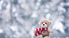 Teddy Wallpaper Hd Size by Teddy Desktop Backgrounds Hd 2020 Wallpapers Teddy Wallpaper Hd Size