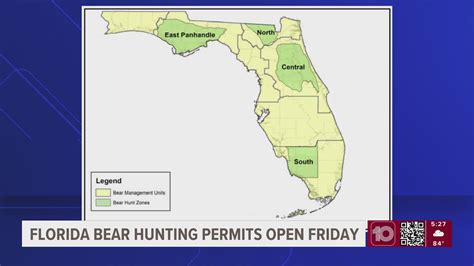 Florida bear hunting permits open this week | wtsp.com