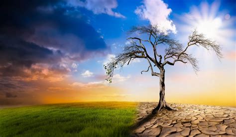 Imagenes De Calentamiento Global 的图像结果