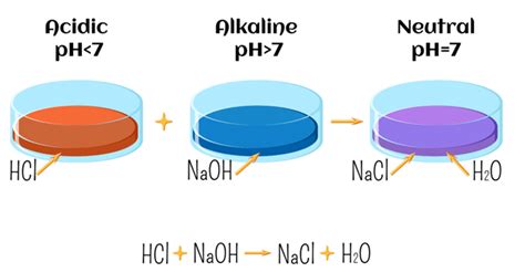 Image result for Neutralisation Reactions