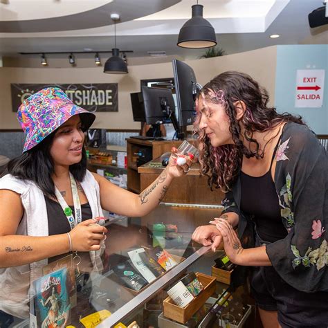 White 99 Strain | Sativa-Dominant Hybrid | Lightshade