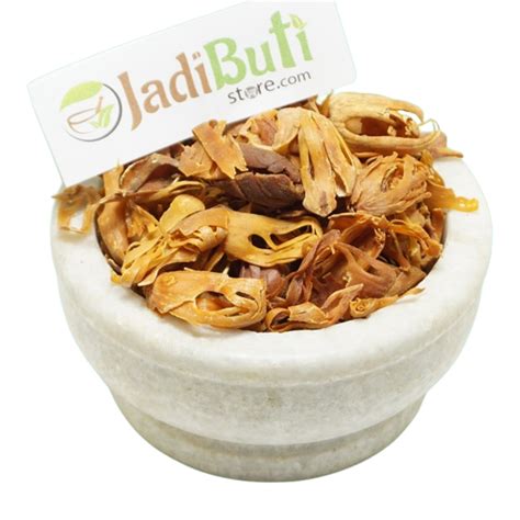 Javitri - जावित्री - Mace - Myristica fragrans – Jadibuti Store