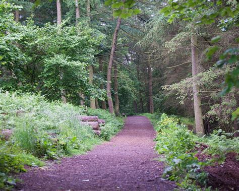 10 BEST Places to Visit in Preston - UPDATED 2022 (with Photos ...