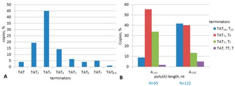 Analysis of SINE Families B2, Dip, and Ves with Special Reference to ...