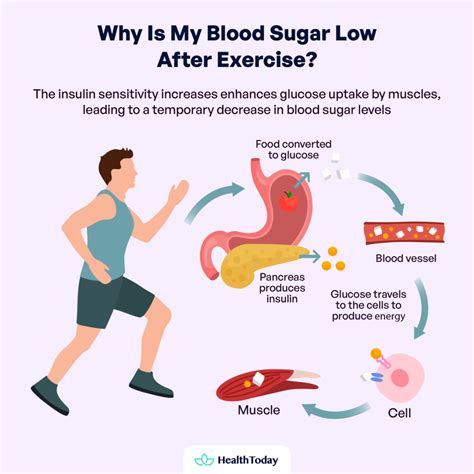The Simple Science Behind How Exercise Affects Blood Sugar Levels
