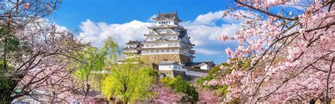 Osaka Cherry Blossom 2027 - 7 Best Places to See and When to See
