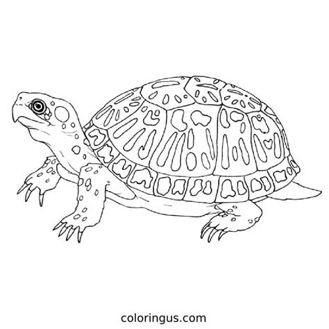 Image result for Turtle with Gun Coloring Pages Printable