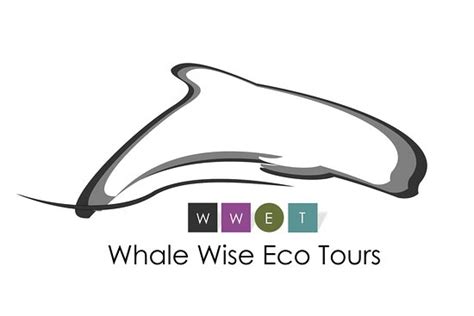 Simply incredible! - Reviews, Photos - Whale Wise Eco Tours - Tripadvisor