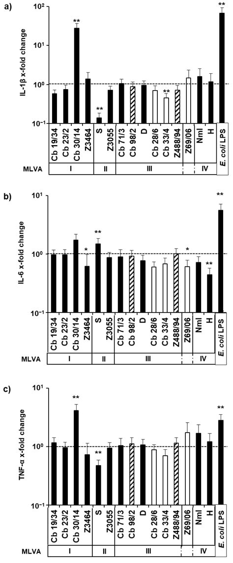 Phenotype of Coxiella burnetii Strains of Different Sources and ...