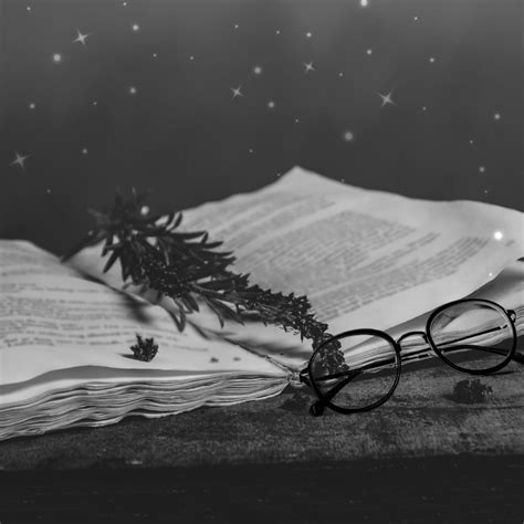 Fantasy Books With Morally Gray Characters You’ll Love – OwlCrate