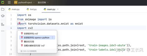Python Importing OpenCV 的图像结果