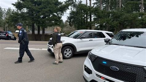 5 dead including suspect after stabbing in Key Peninsula, WA | FOX 2 ...