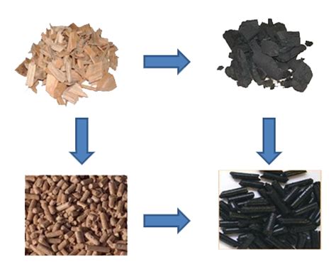 Torrefaction