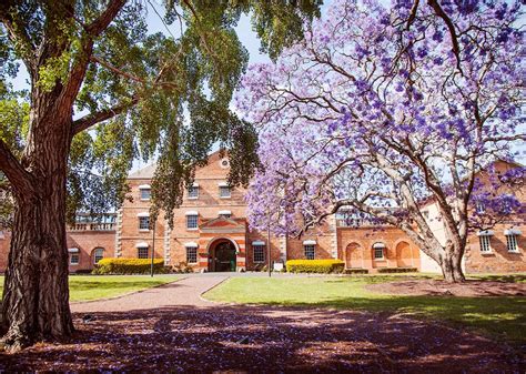 西悉尼大学Western Sydney University_西悉尼大学排名_学费_怎么样_申请条件_IDP海外院校库