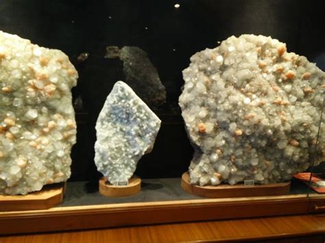 Gargoti Museum, sinnar, India - Top Attractions, Things to Do ...