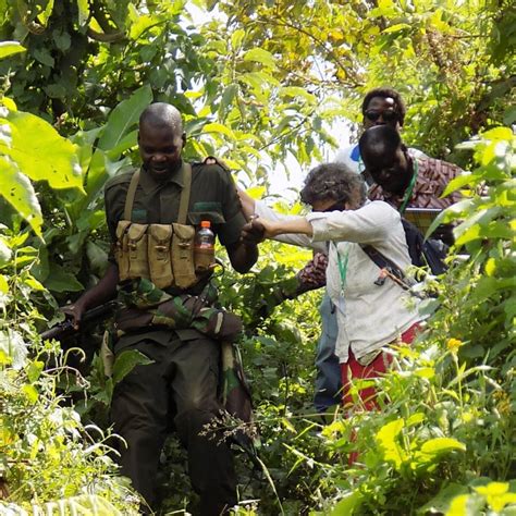 Uganda Wildlife Authority | Contacts, Address, Trariffs,