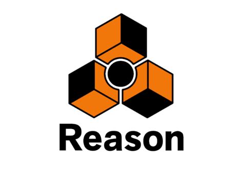 Reason Loop Logo 的图像结果
