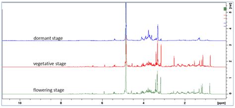 NMR, LC-MS Characterization of Rydingia michauxii Extracts ...