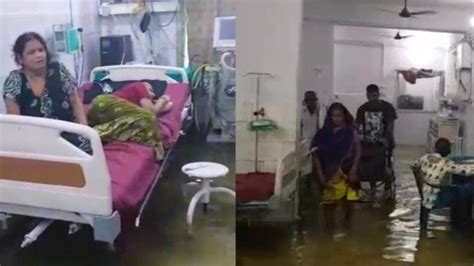 Bihar: Believe it or not, a hospital where fish swim inside ICU - India ...
