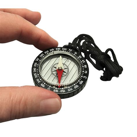 Image result for Liquid Compass Card