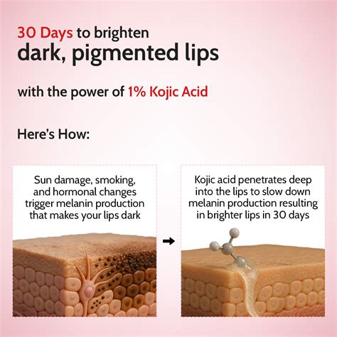 Cherry Tinted Lip Balm for Dark Lips | SPF 50 PA++++ & Kojic Acid ...
