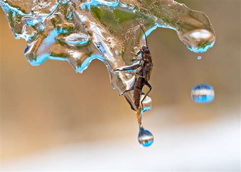 11th Edition of DJ memorial Photography Contest