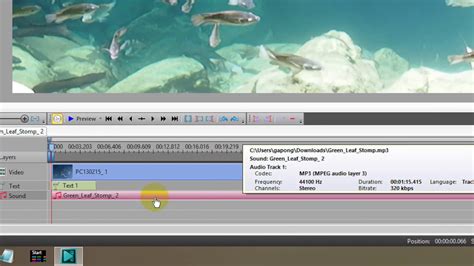 Vsdc Tutorial Muting Sound 的图像结果