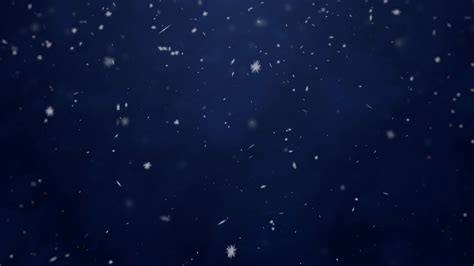 Agents | Auctions/Real Estate By Schackmann Inc