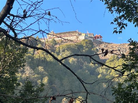 Surkanda Devi Temple | a sacred Shakti Peeth |Tehri – Travel diaries ...