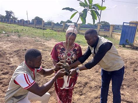 Image result for Community Tree-Planting