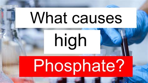 What does high Phosphate and WBC mean in blood test?