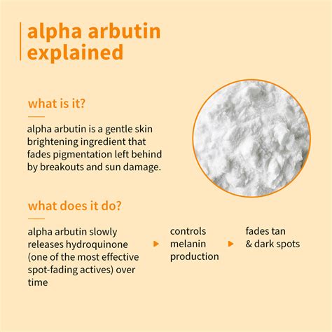 Buy 2% Alpha Arbutin Serum with Hyaluronic Acid for Even-Toned Skin – Plum