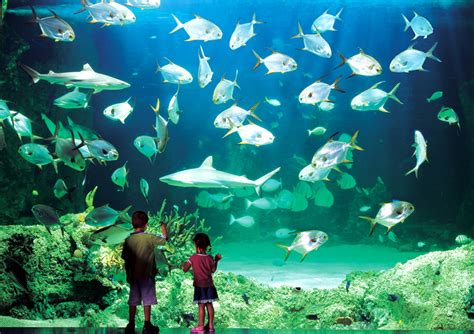 澳大利亚悉尼水族馆_价格_海外门票价格_优惠预订_同程旅游