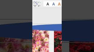 Image result for Easy PowerPoint Tutorial