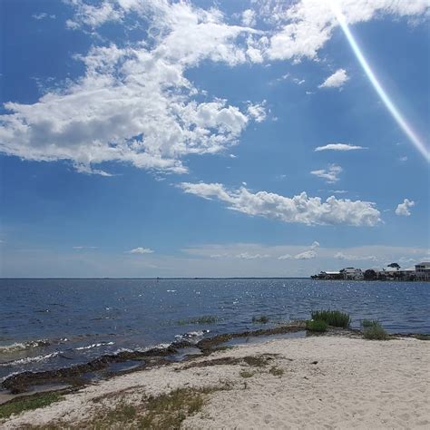 Image result for Shell Point Beach