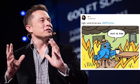 #RIPTwitter! Elon Musk Shuts Down Office As Hundreds Of Twitter ...
