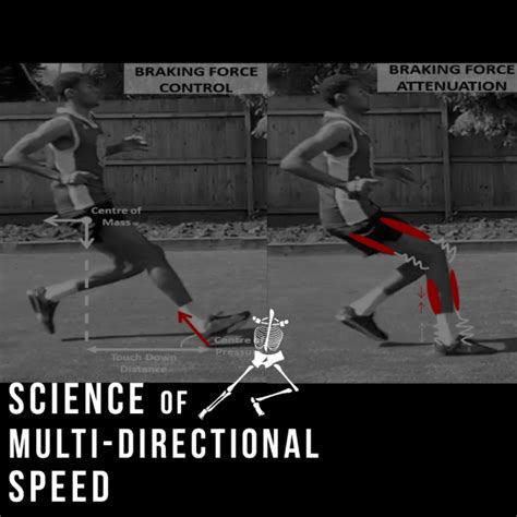 Image result for Multiple Speed