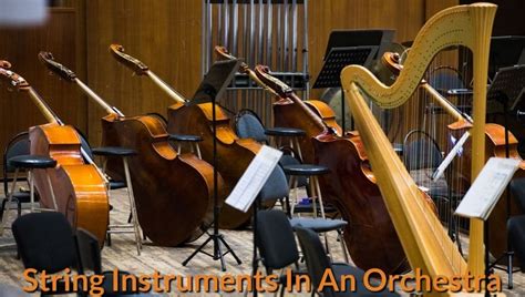 Orchestra String Instruments 的图像结果