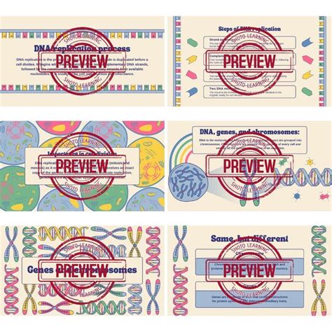 DNA Learning Worksheet 的图像结果