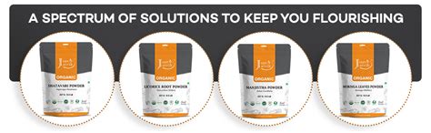 Just Jaivik Organic Triphala Churna Powder for Gastro Intestinal Health ...