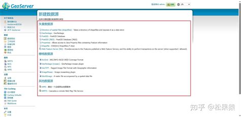 Using GeoServer Plug Ins 的图像结果