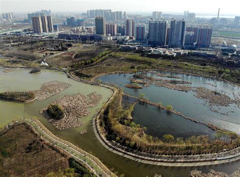 河南平顶山：实施生态修复 还一片绿水青山 - 周到上海