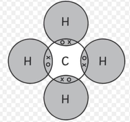 Draw the orbit structure for each of the following compounds: (i ...